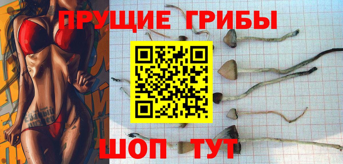 Псилоцибиновые грибы Magic Shrooms  Вход с VPN  Брянск 