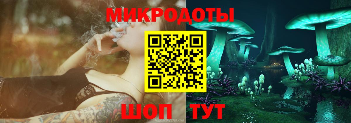 Галлюциногенные грибы Psilocybe Брянск